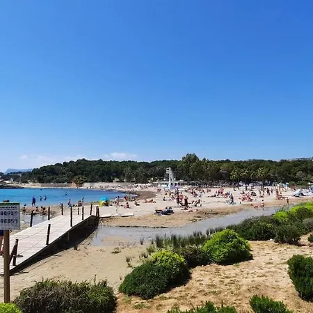 Rakhi Moraira